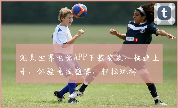 完美世界电竞APP下载安装，快速上手，体验竞技盛宴，轻松玩转