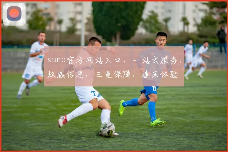 suno官方网站入口，一站式服务，权威信息，三重保障，速来体验